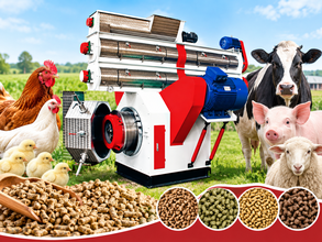 ring die feed pellet machine
